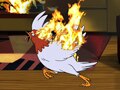 play video on Adult Swim